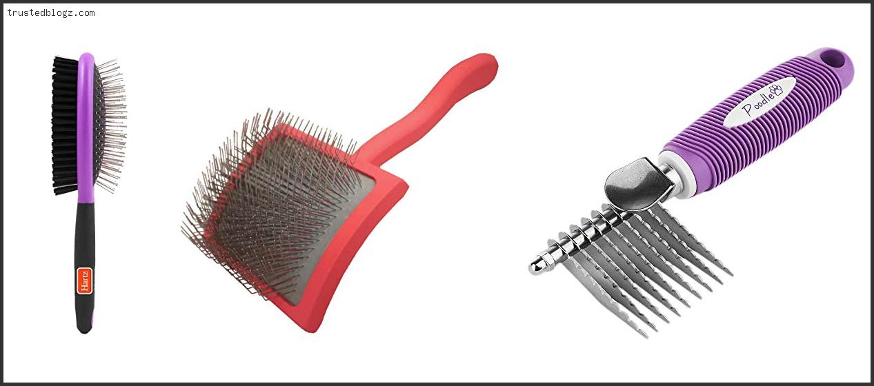 Top 10 Best Dog Brush For Poodles Reviews For You Trusted Blogz