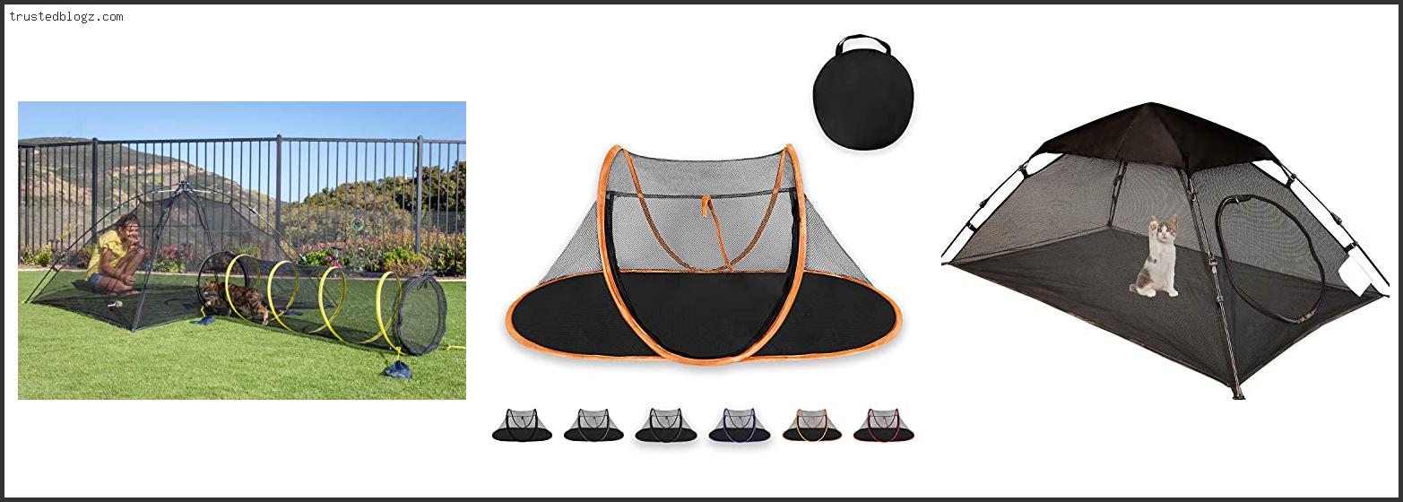 Top 10 Best Outdoor Cat Tents In [2022] Trusted Blogz