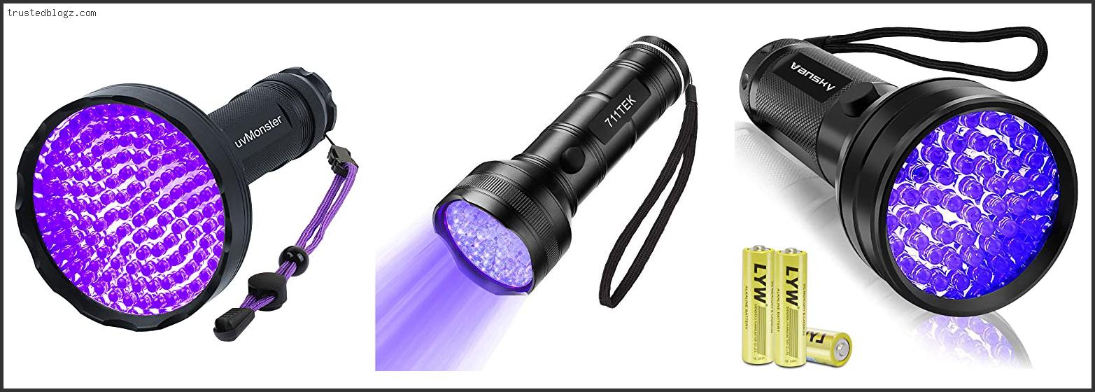 Top 10 Best Blacklight For Cat Urine – Available On Market