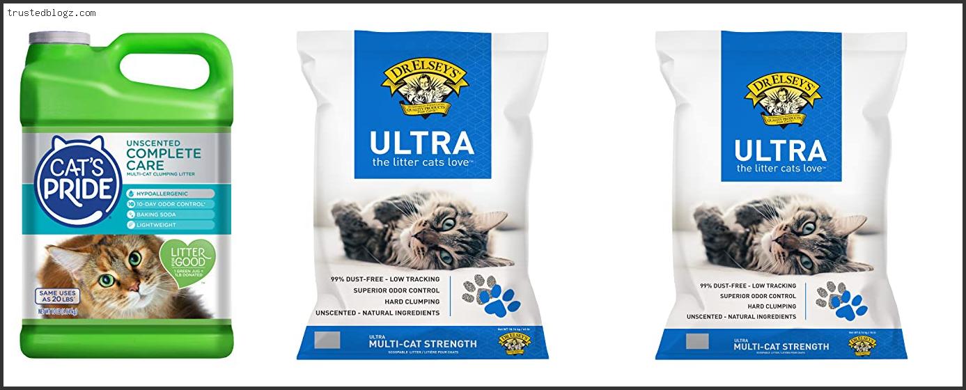 Top 10 Best Hypoallergenic Cat Litter Reviews With Products List