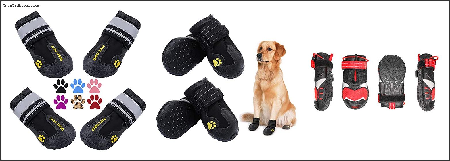 Top 10 Best Shoes For Dog Walking Reviews For You