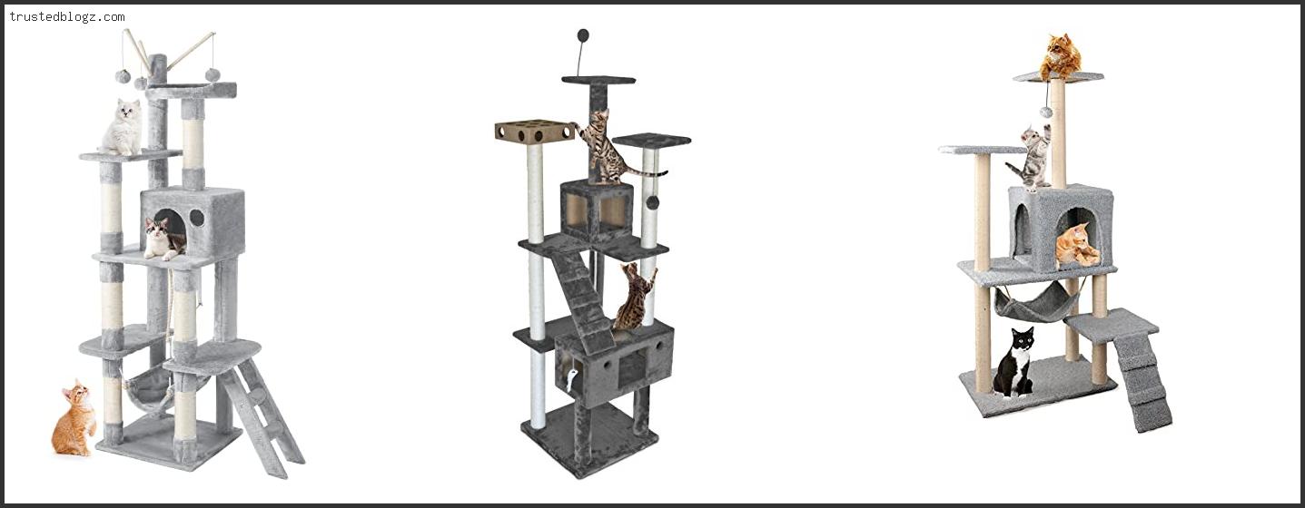 Top 10 Best Cat Tree For Small Apartment Available On Market