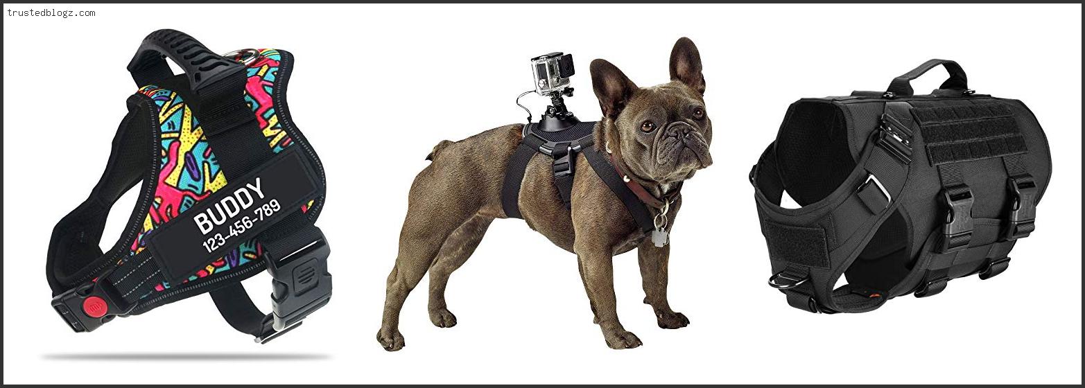 Top 10 Best Dog Harness For Gopro Based On Scores