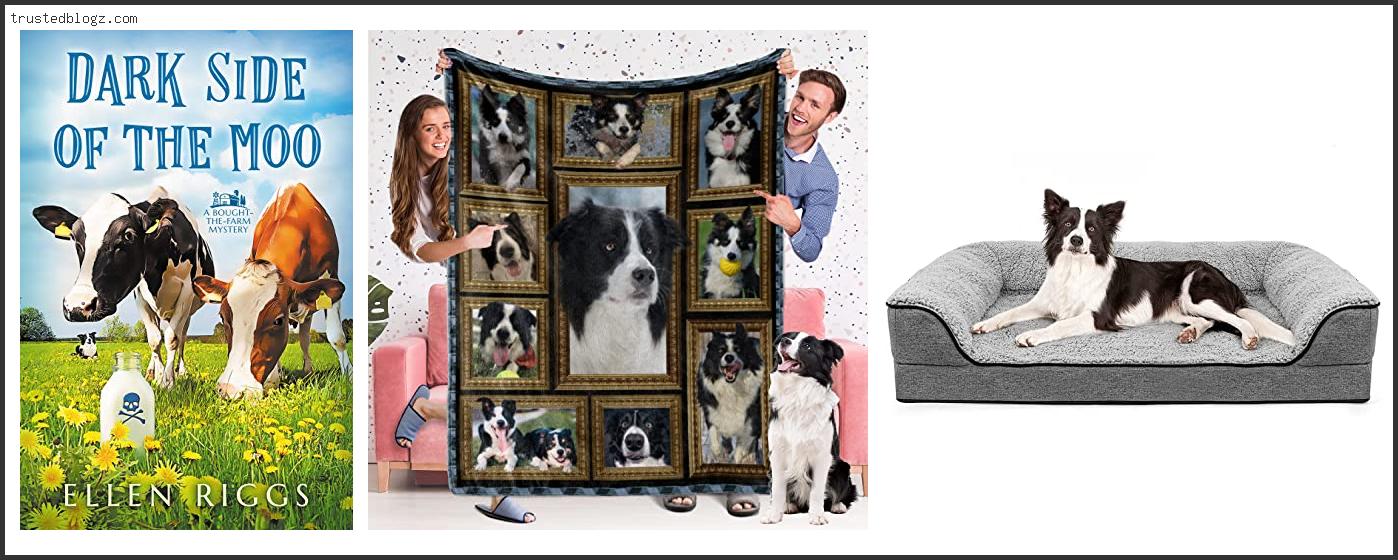 Top 10 Best Dog Beds For Border Collies Based On User Rating