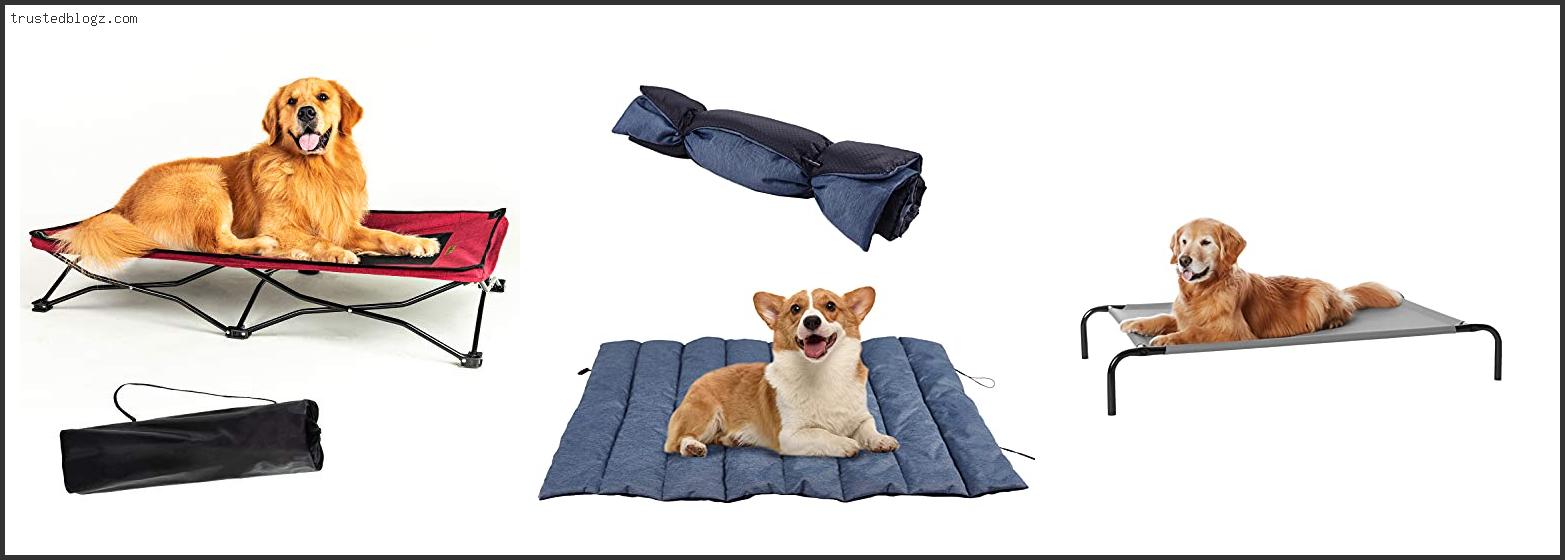 Top 10 Best Dog Bed For Camping Reviews For You