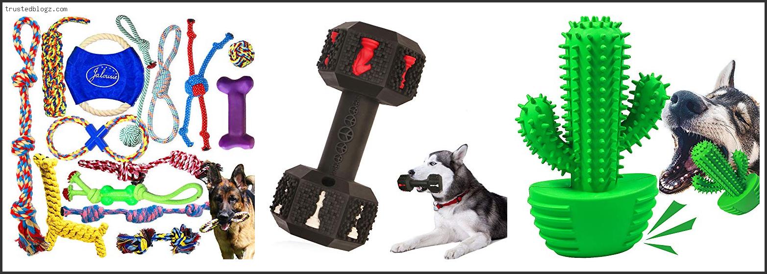 Top 10 Best Dog Toy For Husky – To Buy Online