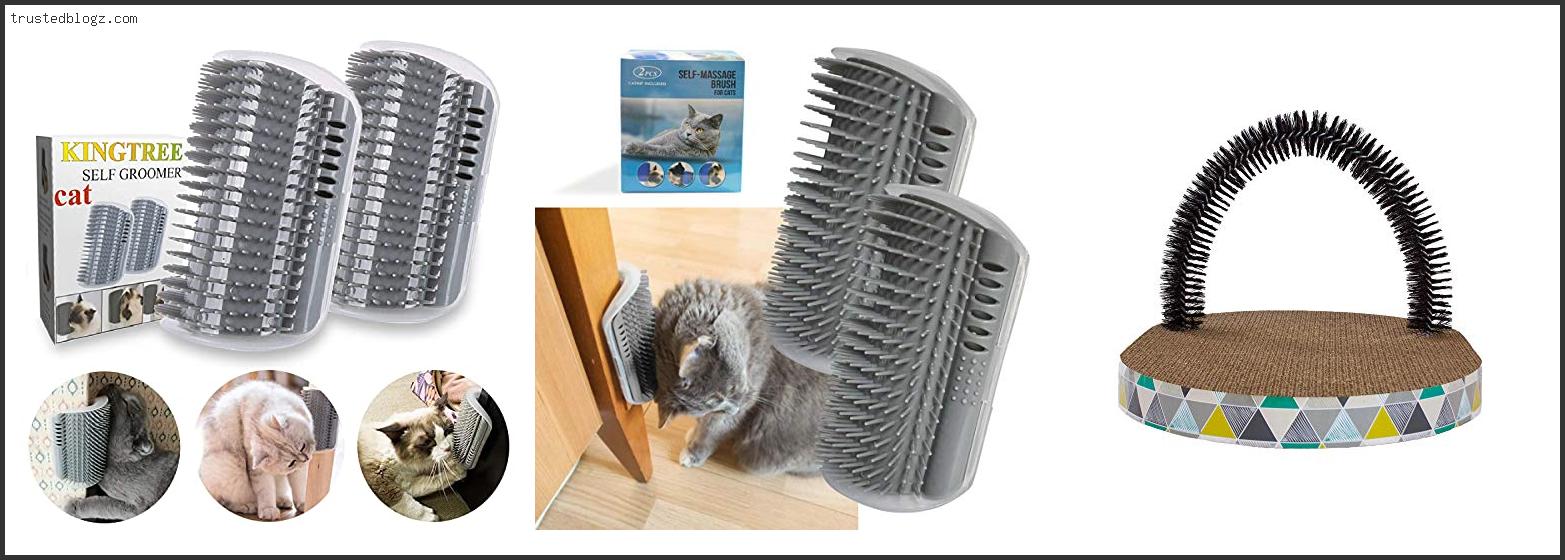 Top 10 Best Cat Self Groomer With Buying Guide
