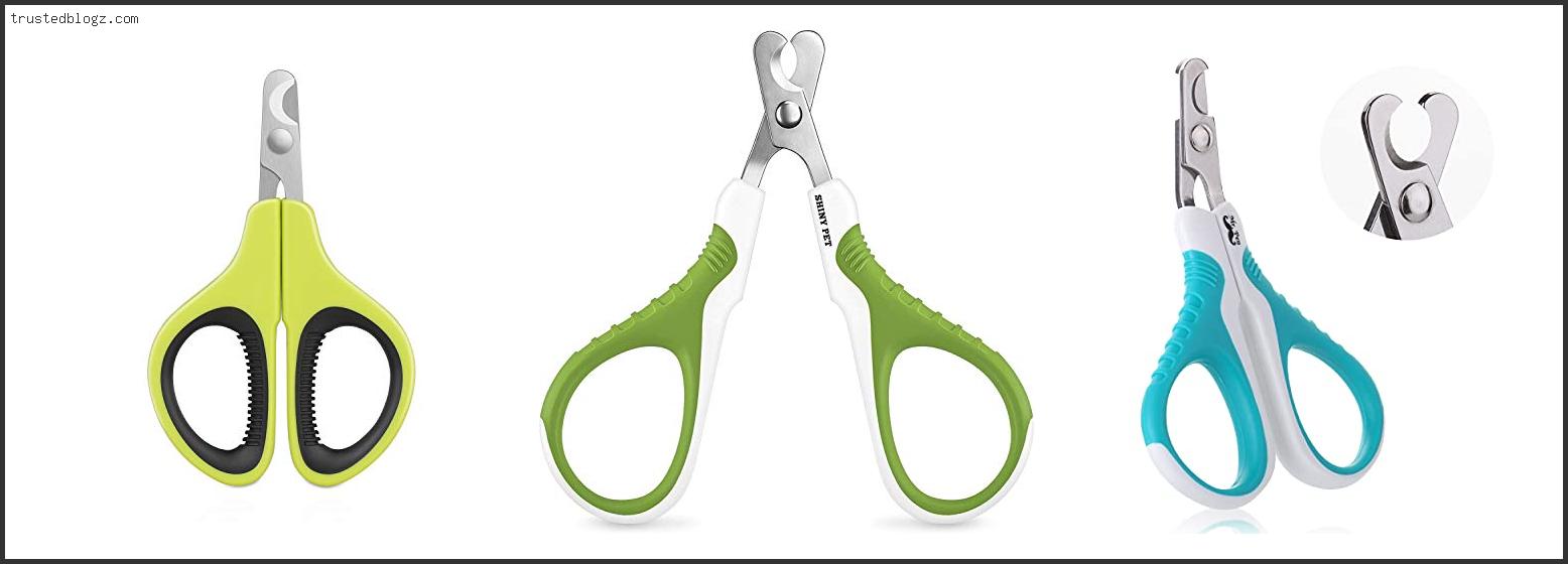 Top 10 Best Cat Claw Clippers In [2022] Trusted Blogz