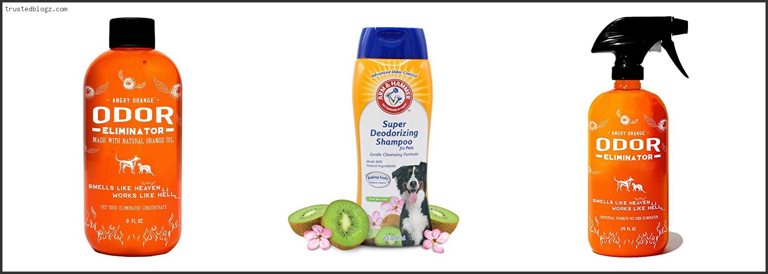 Top 10 Best Dog Shampoo To Get Rid Of Odor In [2022]