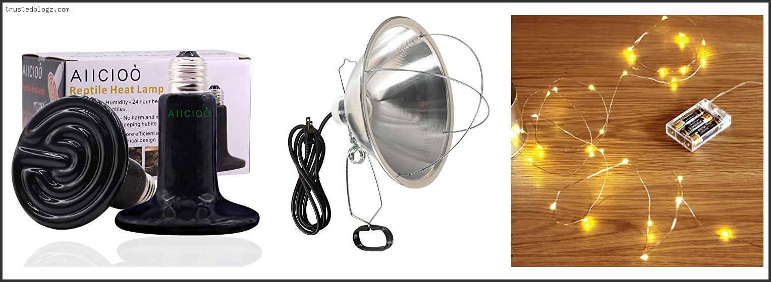 Top 10 Best Light Bulb To Heat Dog House Reviews With Scores