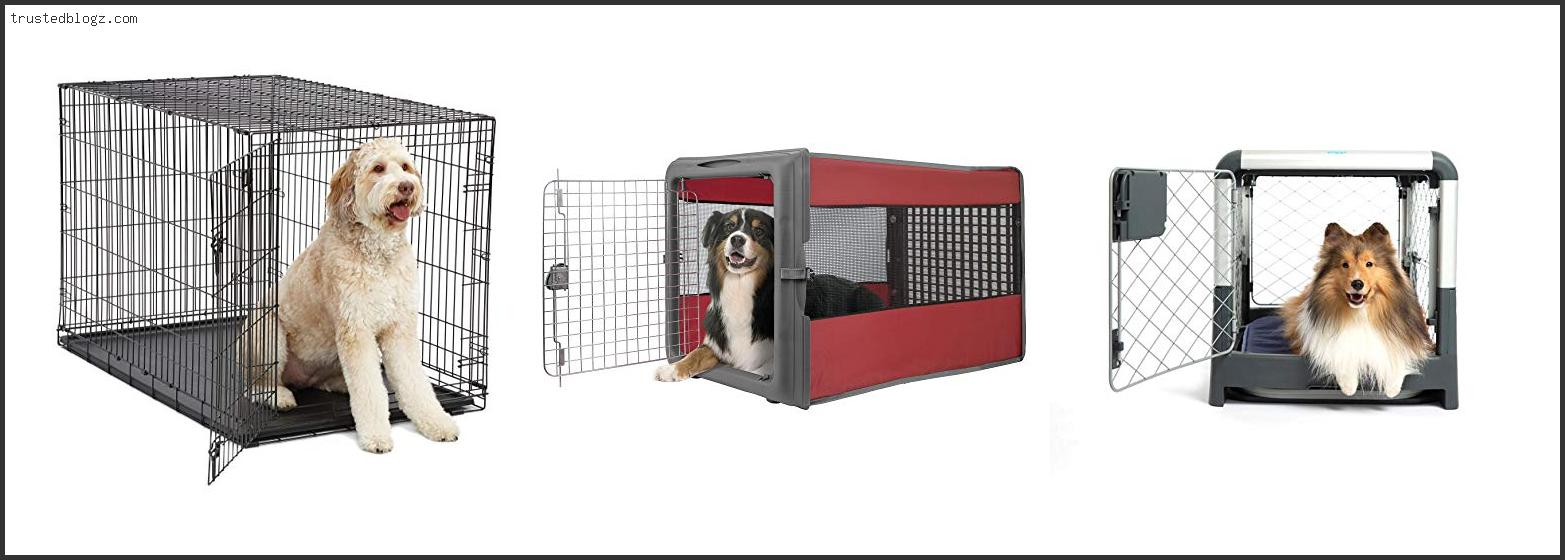 Top 10 Best Dog Crate For Rv Available On Market Trusted Blogz