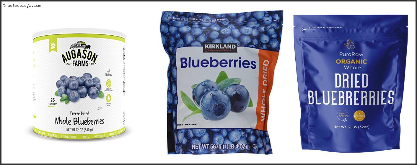 Top 10 Best Dried Blueberries Reviews With Scores