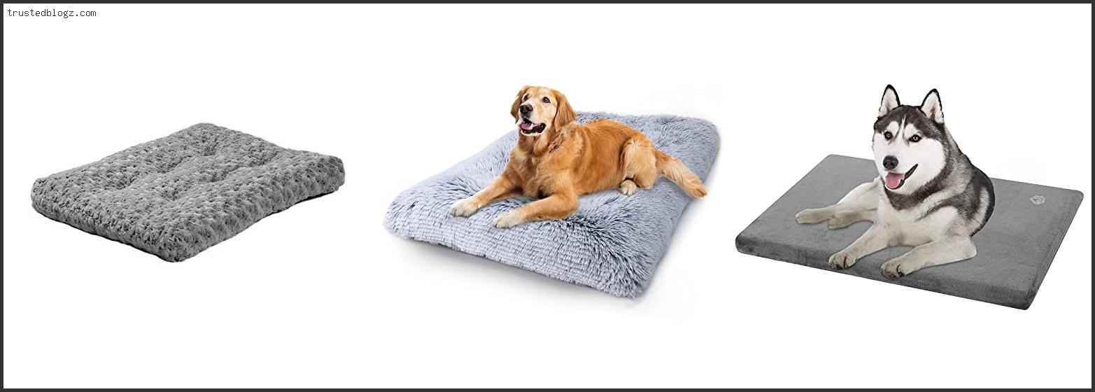 Top 10 Best Dog Bedding For Kennels With Expert Recommendation