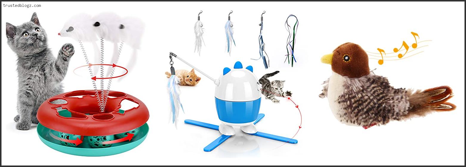 Top 10 Best Cat Toys For Home Alone Cats Based On Scores