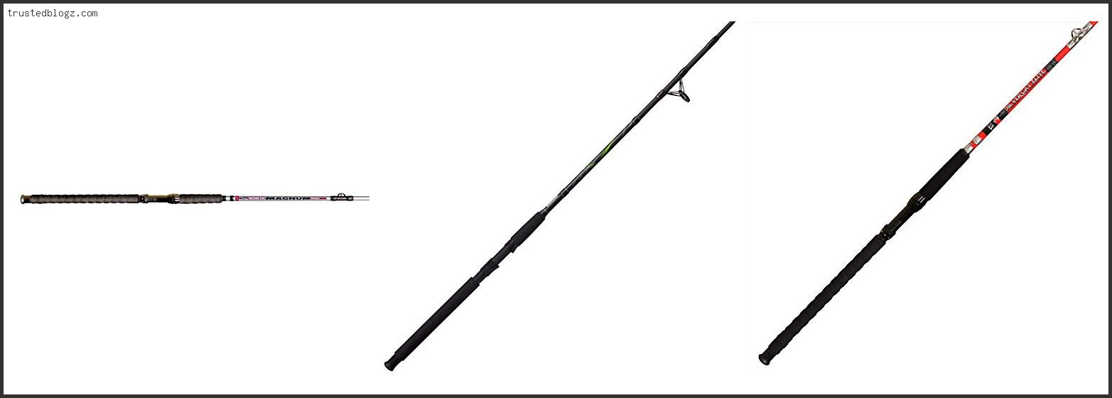 Top 10 Best Cat Fishing Rod – Available On Market