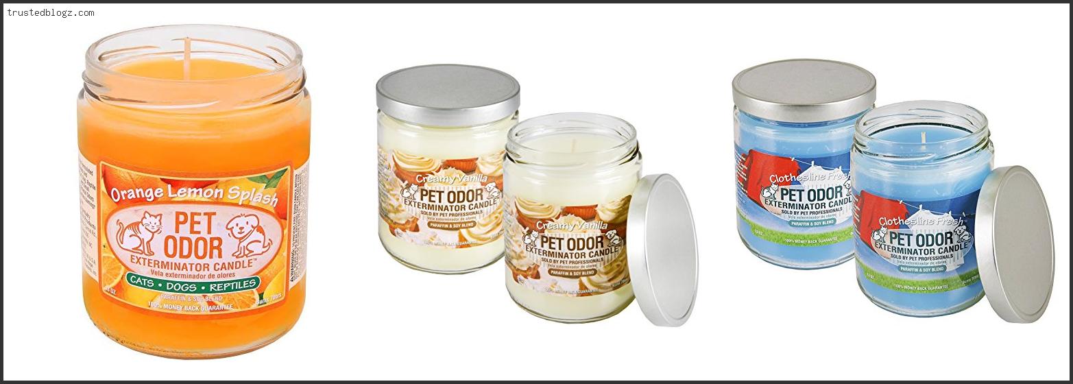 Top 10 Best Candle For Dog Smell – To Buy Online
