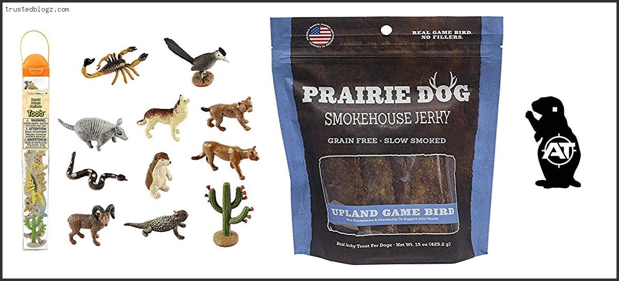 Top 10 Best Rifle For Prairie Dog Hunting Based On User Rating