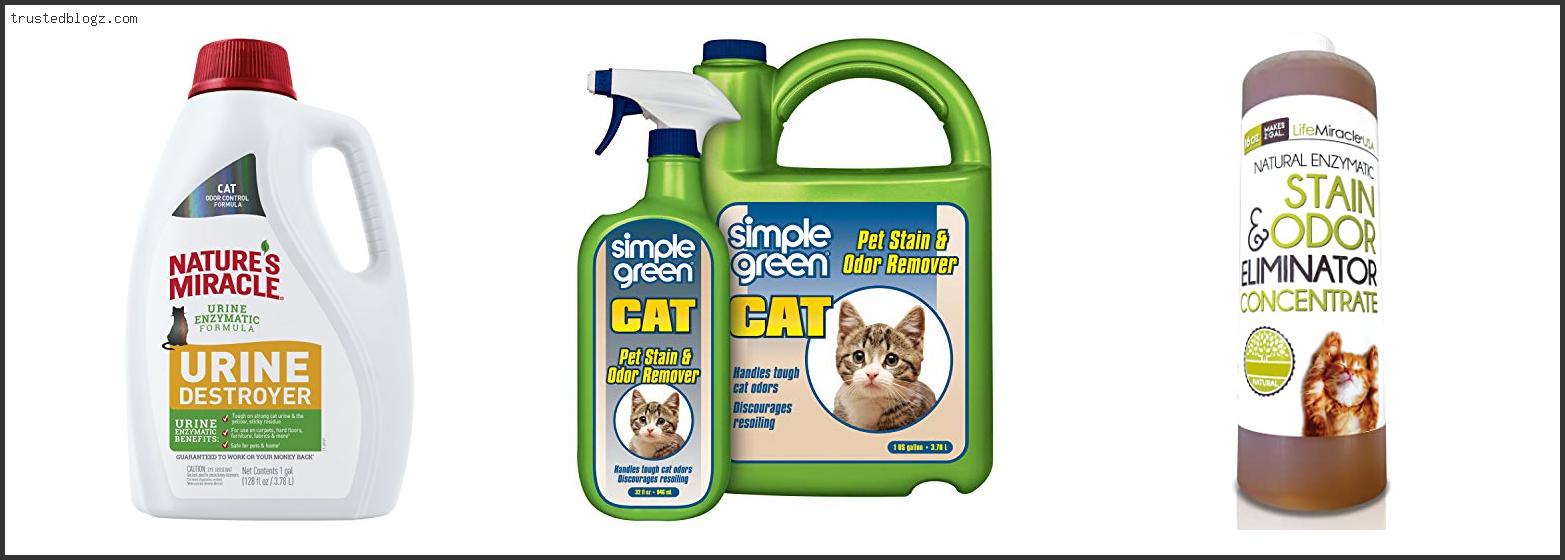 Top 10 Best Cat Urine Remover For Couch Reviews For You