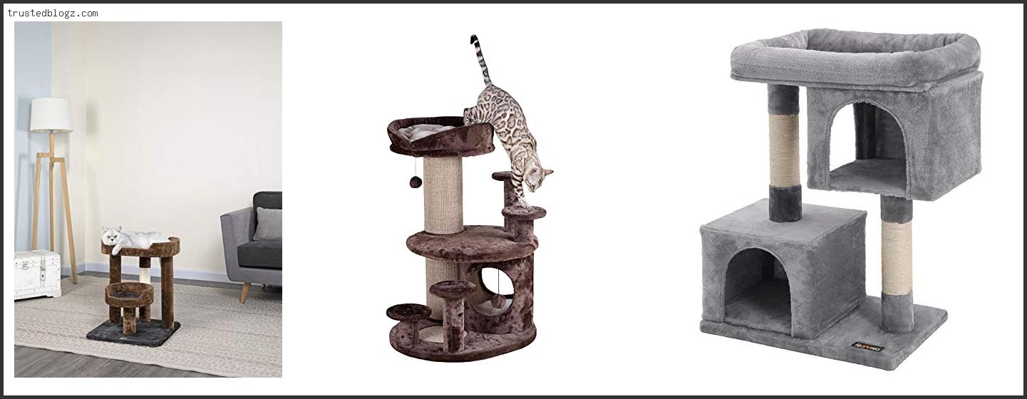 Top 10 Best Cat Trees For Senior Cats Based On Customer Ratings