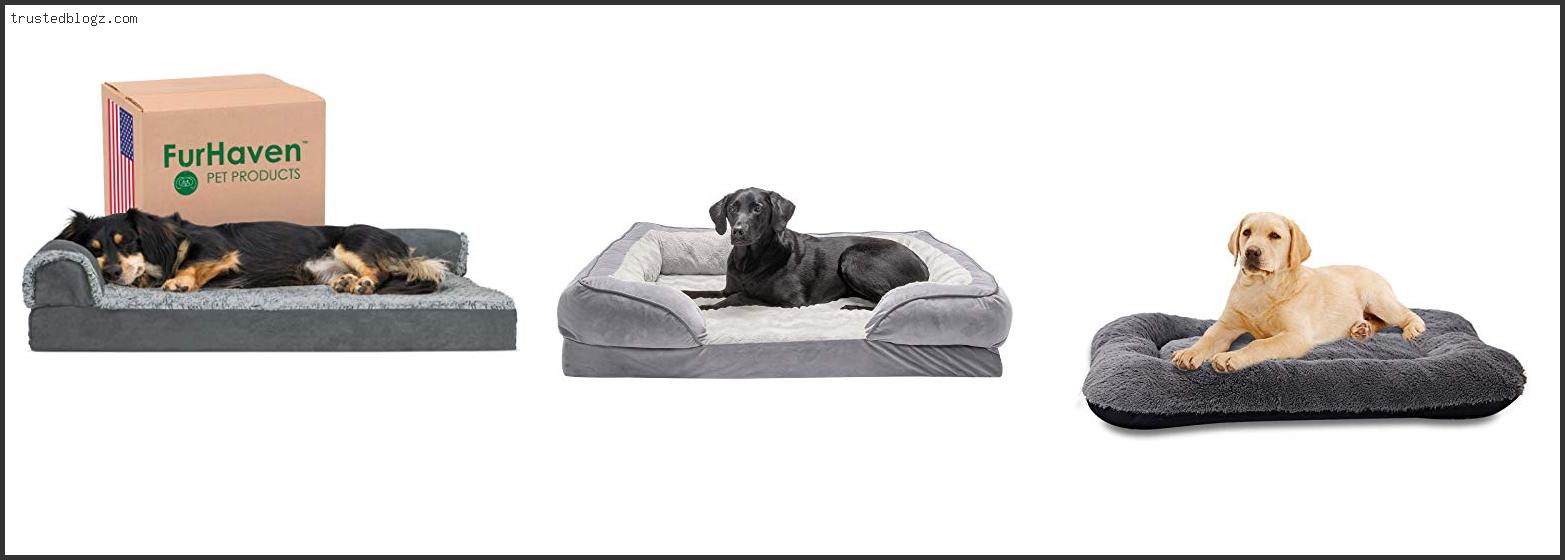 Top 10 Best Dog Bed For Golden Retriever With Expert Recommendation