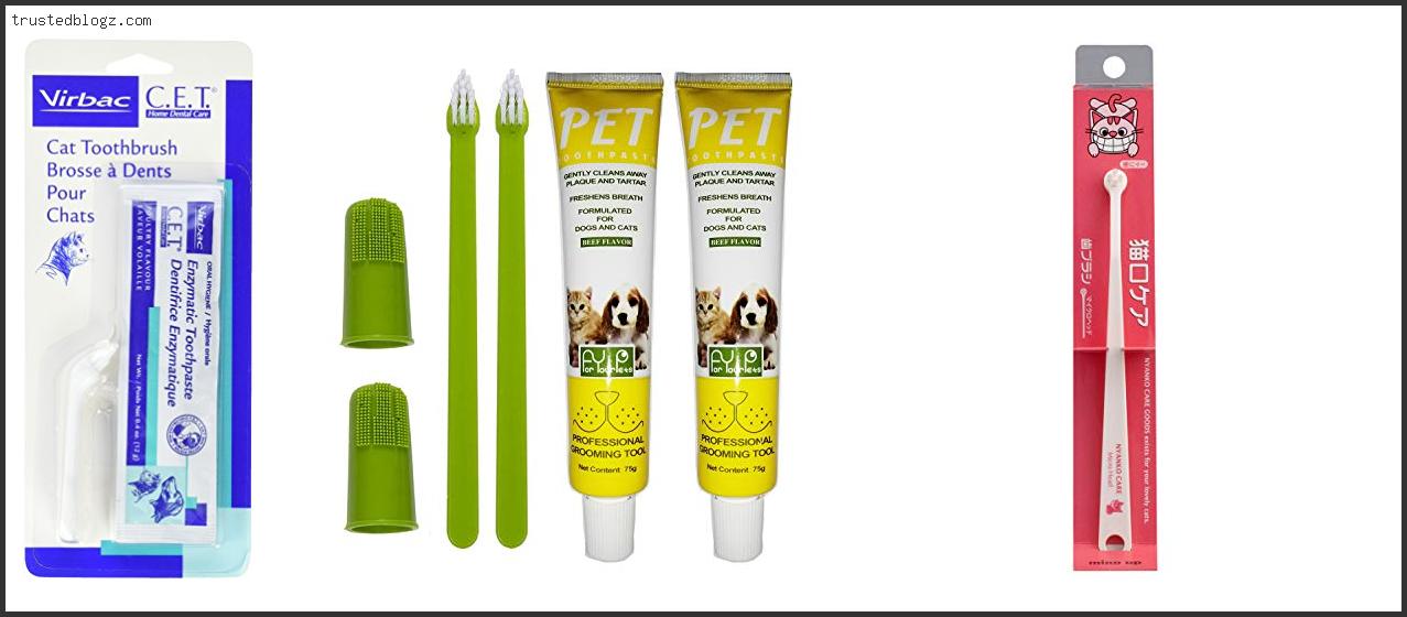 Top 10 Best Cat Toothbrush And Paste With Expert Recommendation