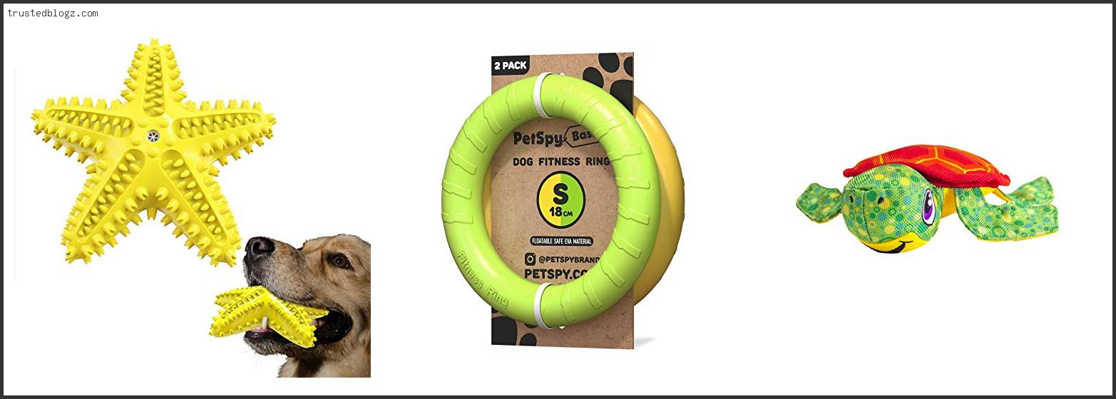 Top 10 Best Floating Dog Toys Reviews For You