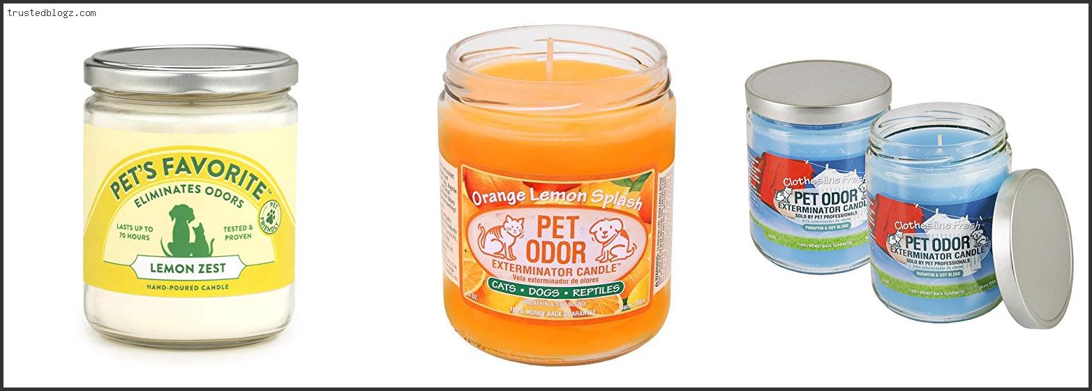 Top 10 Best Candles For Dog Smell Reviews With Products List