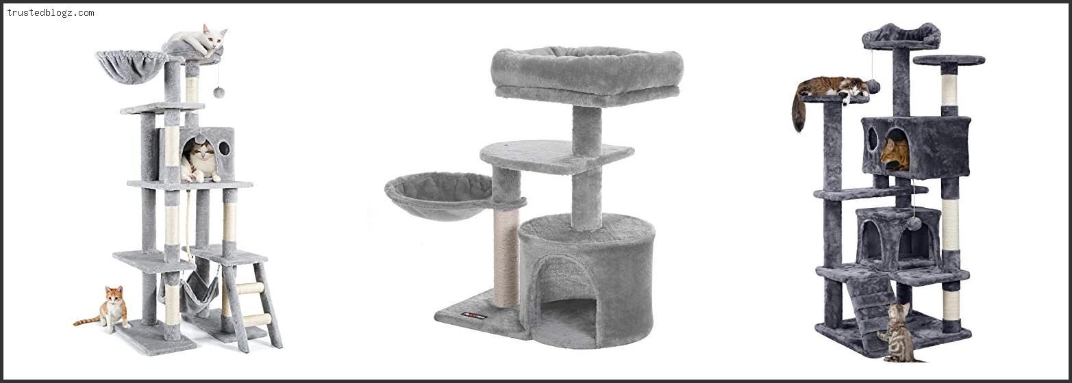Top 10 Best Cat Tree For Kittens Reviews With Products List