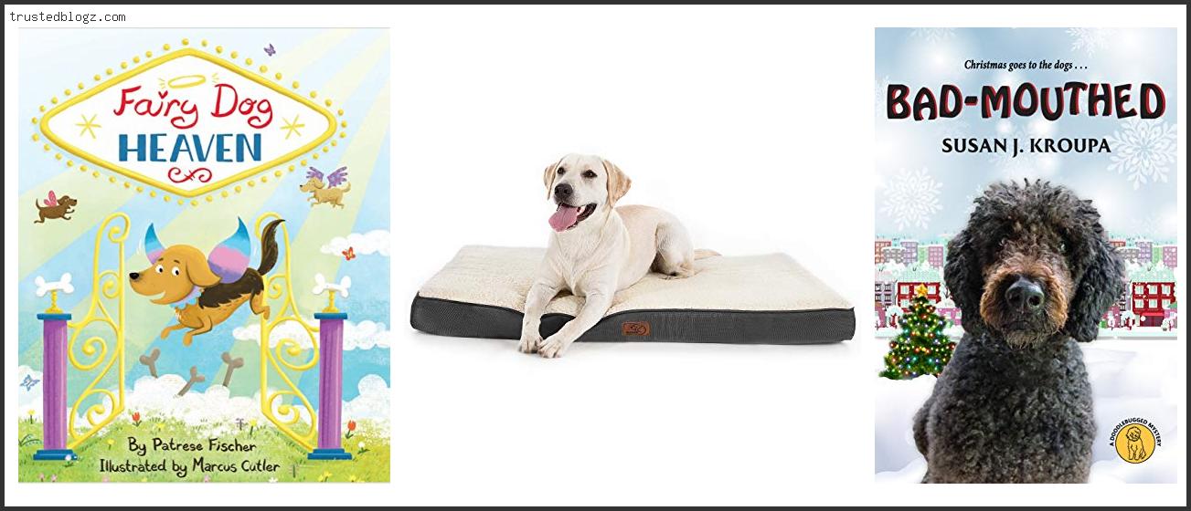 Top 10 Best Dog Beds For Labradoodles In [2022]